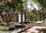ARBO E FLORA no Gleba Fazenda Palhano, Londrina