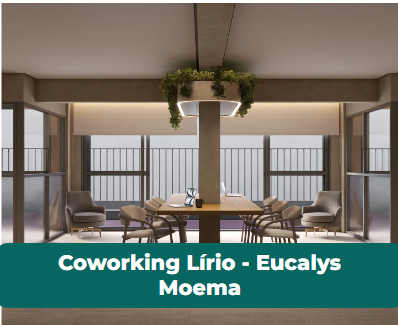 EUCALYS MOEMA no Indianópolis, São Paulo